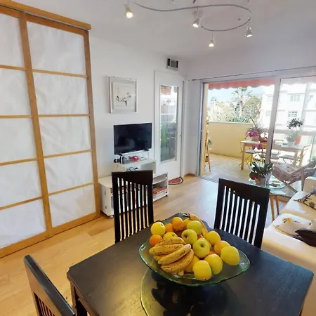 48m - Grand Avec Alcove Et Terrasse 公寓 芒通